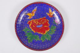A Chinese blue ground cloisonne dish decorated with birds and flowers, 18cmn diameter