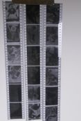 A quantity of 1970s vintage nude/erotic photographic 35mm negatives