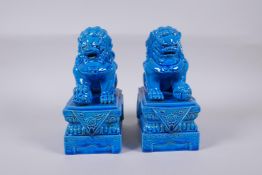 A pair of Chinese turquoise glazed porcelain temple lions, impressed marks to base, 21cm high