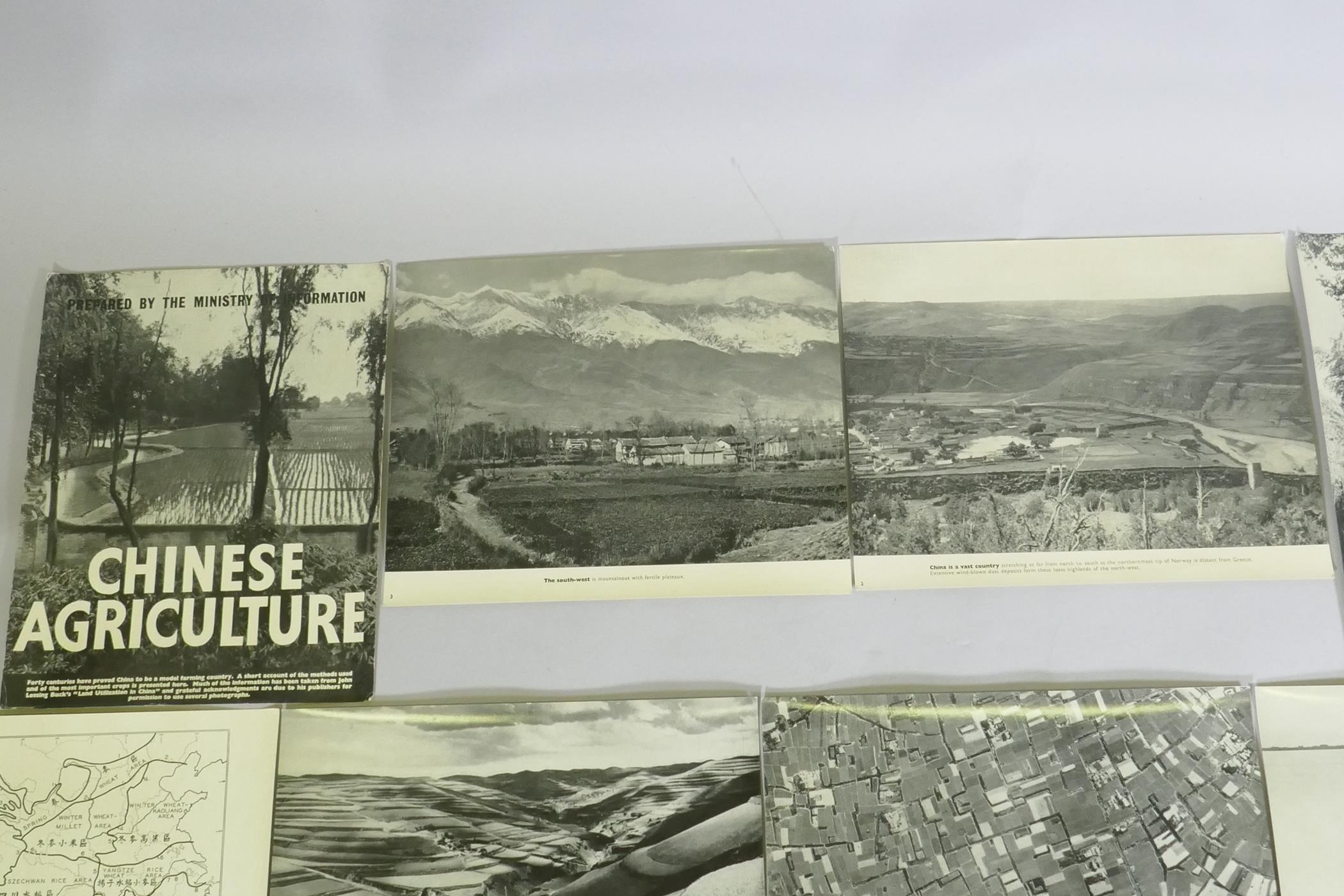 A series of photographic informational prints on Chinese agriculture, produced by the Ministry of - Image 2 of 9