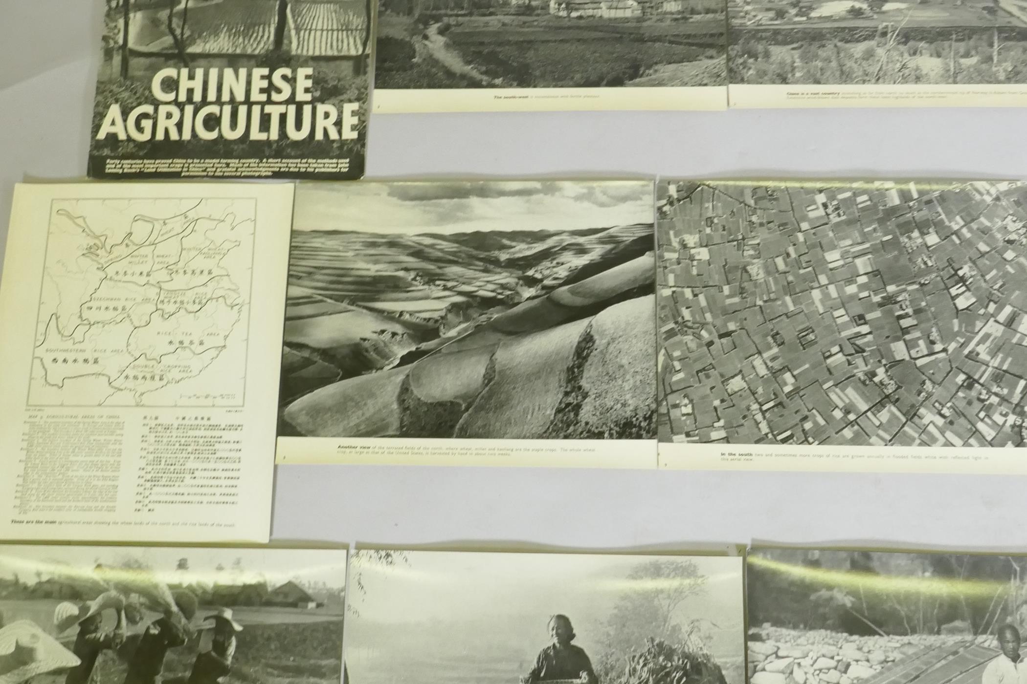 A series of photographic informational prints on Chinese agriculture, produced by the Ministry of - Image 4 of 9
