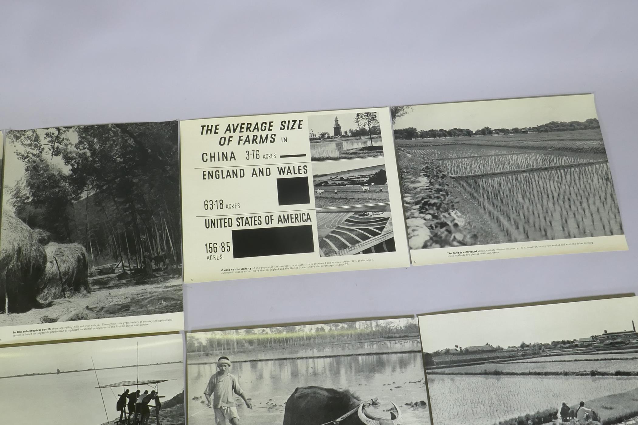 A series of photographic informational prints on Chinese agriculture, produced by the Ministry of - Image 3 of 9