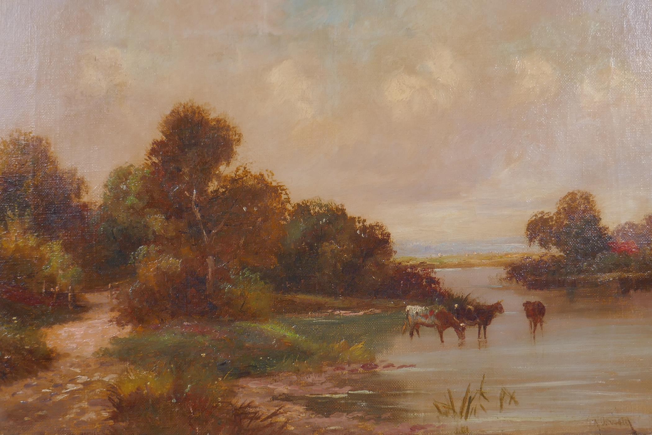 C.W. Oswald, river landscape with cattle, unframed, oil on canvas, signed, 31 x 45cm