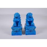 A pair of Chinese turquoise glazed porcelain temple lions, impressed marks to base, 21cm high