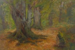 Thomas Dingle Jr, (British, 1844-1919), woodland scene, C19th oil on board, 35 x 25cm