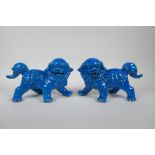 A pair of Chinese turquoise glazed porcelain Fo-dogs, 26cm long