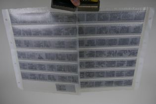 Two sheets of 1960s/70s risque negatives, 35mm, 79 images