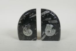 A pair of fossilled ammonite black marble bookends, 12cm high