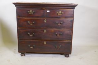 A Georgian mahogany chest of two over three drawers with moulded fronts and original brass swan neck