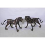 A pair of Chinese bronze life size tiger cubs with the remnants of gilt patina, 114cm long