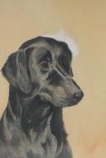 S. Ripley, portrait of a dog, watercolour, 25 x 35cm
