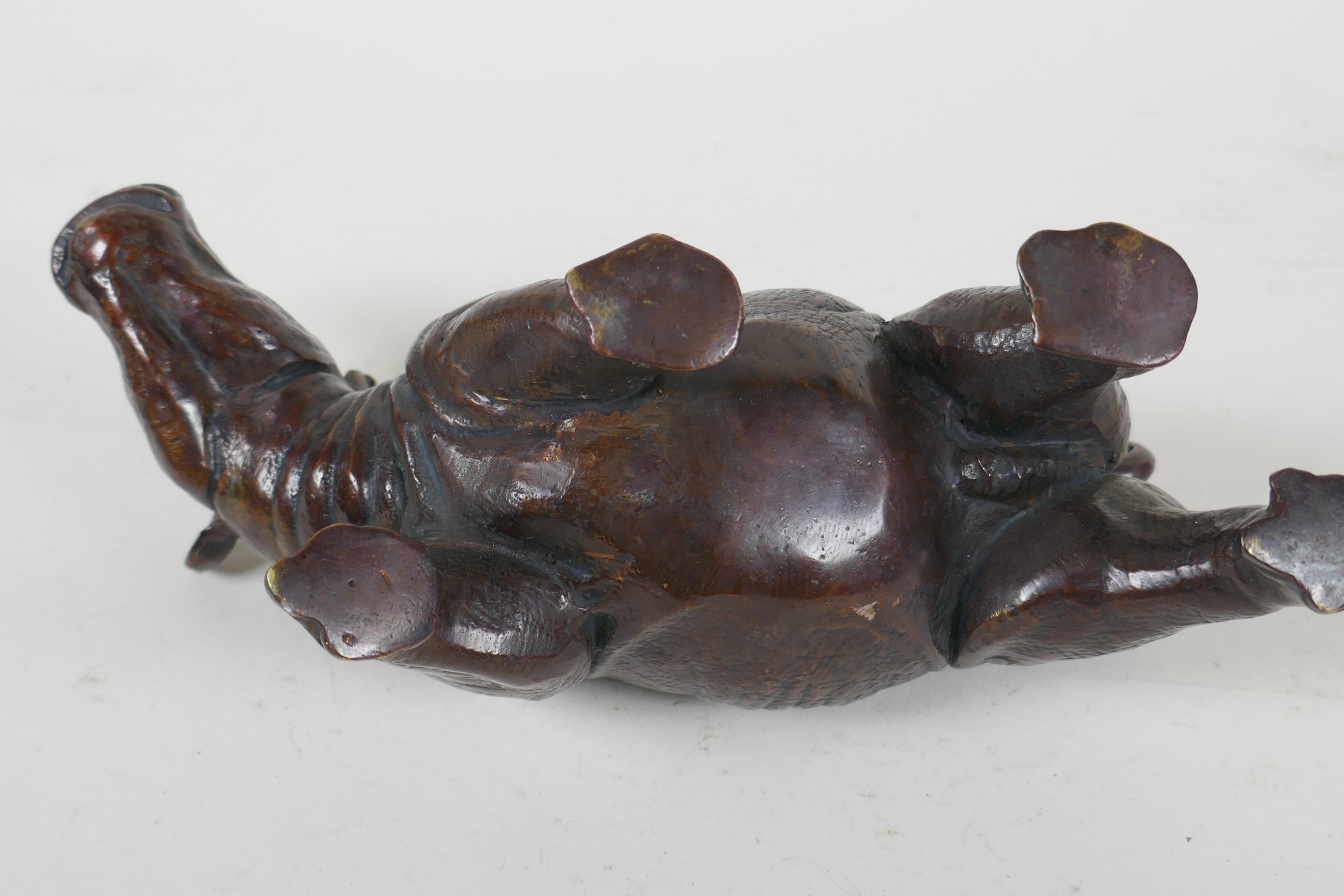 A filled bronze rhinoceros, 23cm long - Image 4 of 4