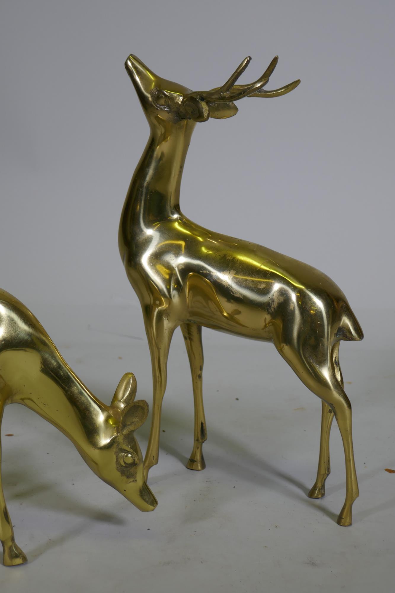 A hollow cast brass figure of a stag and doe, 35cm high - Image 2 of 2