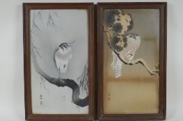 Ohara Koson, (Japanese, 1977-1945), Northern Lapwing on the branch of a Willow, and Hawk with a