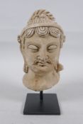 A Gandahar style plaster bust, on a display stand, 18cm high