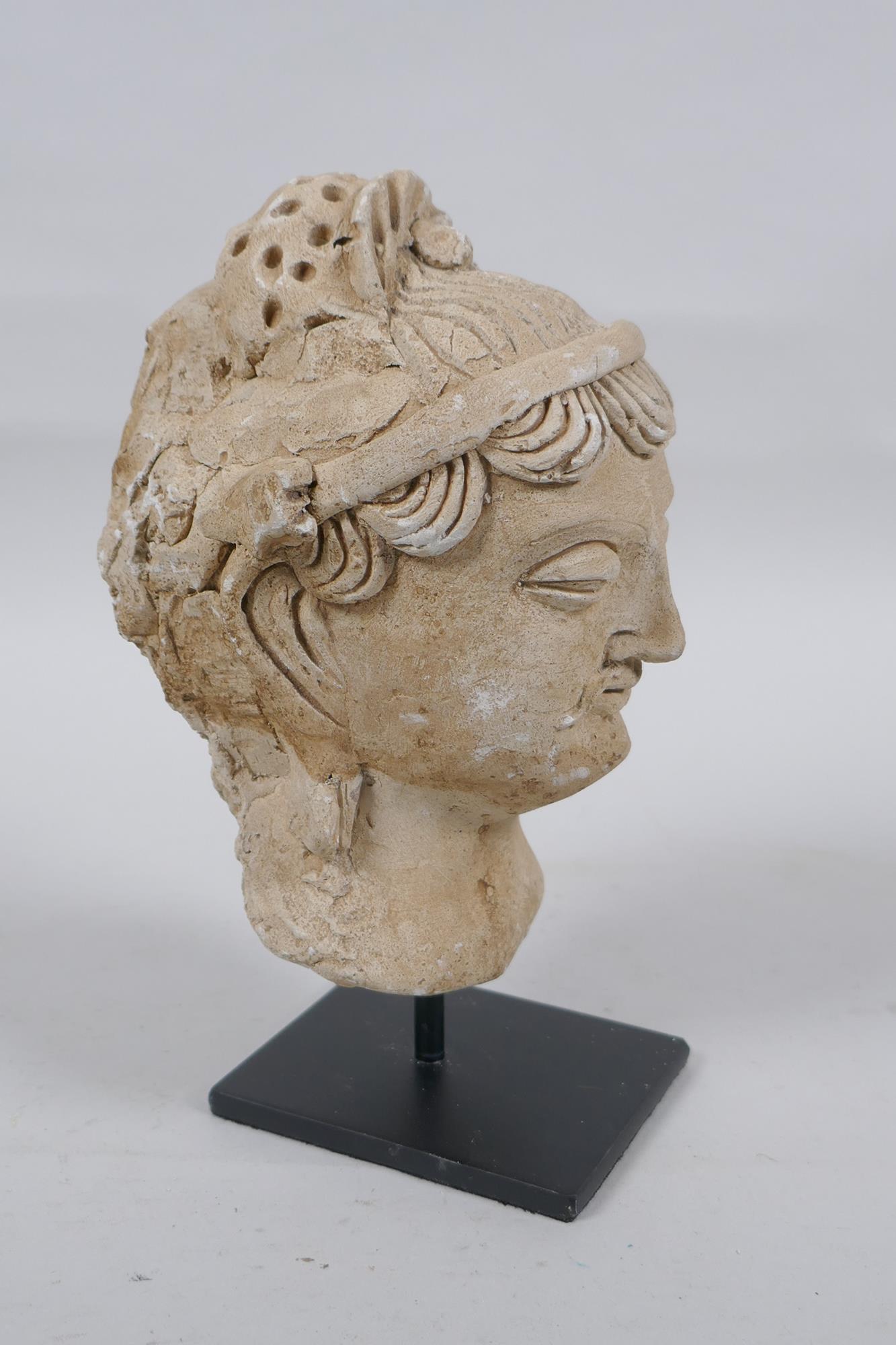 A Gandahar style plaster bust, on a display stand, 18cm high - Image 3 of 3