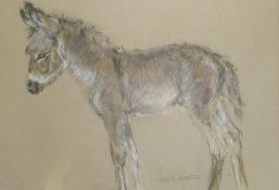 Vera Hawerth, donkey foal, crayon and wash, signed, inscribed verso 'For Jessica', 24 x 21cm