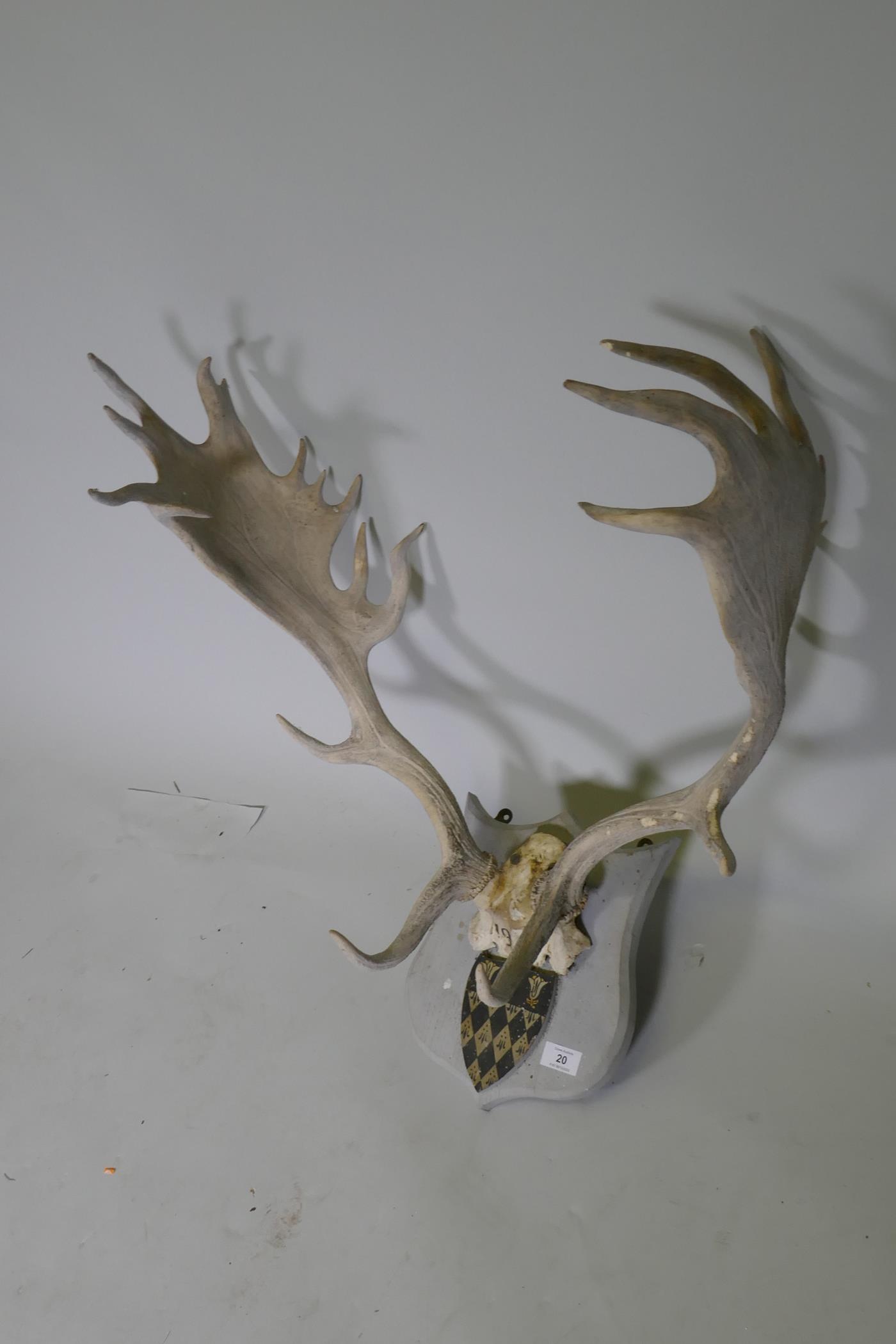 A set of deer antlers mounted on wood plaque with armorial crest, originally dated 1914, 73cm - Image 3 of 3