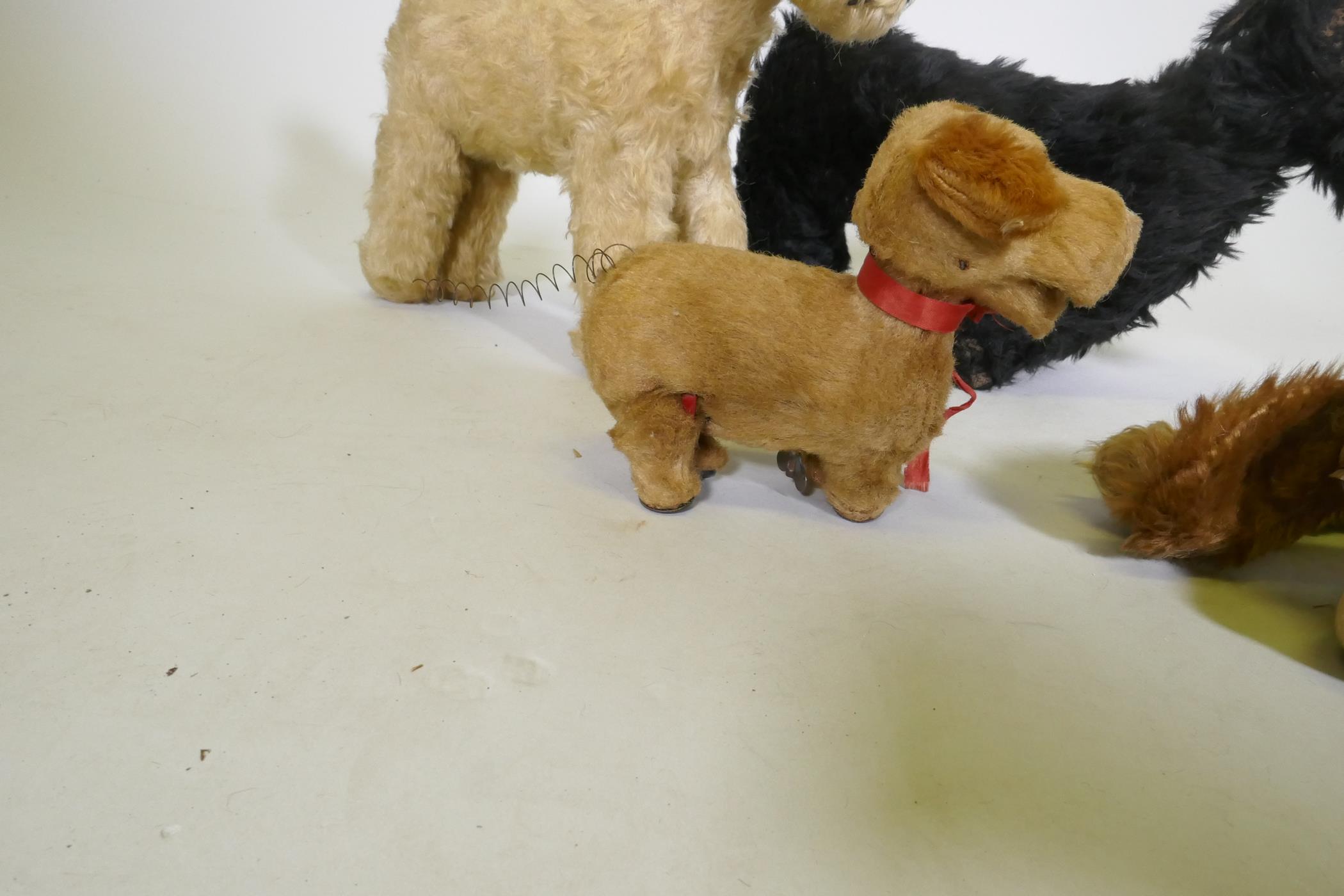 Antique stuffed toys, Angus terrier, terrier, possibly Chad Valley, push dog with rubber head and - Image 3 of 5