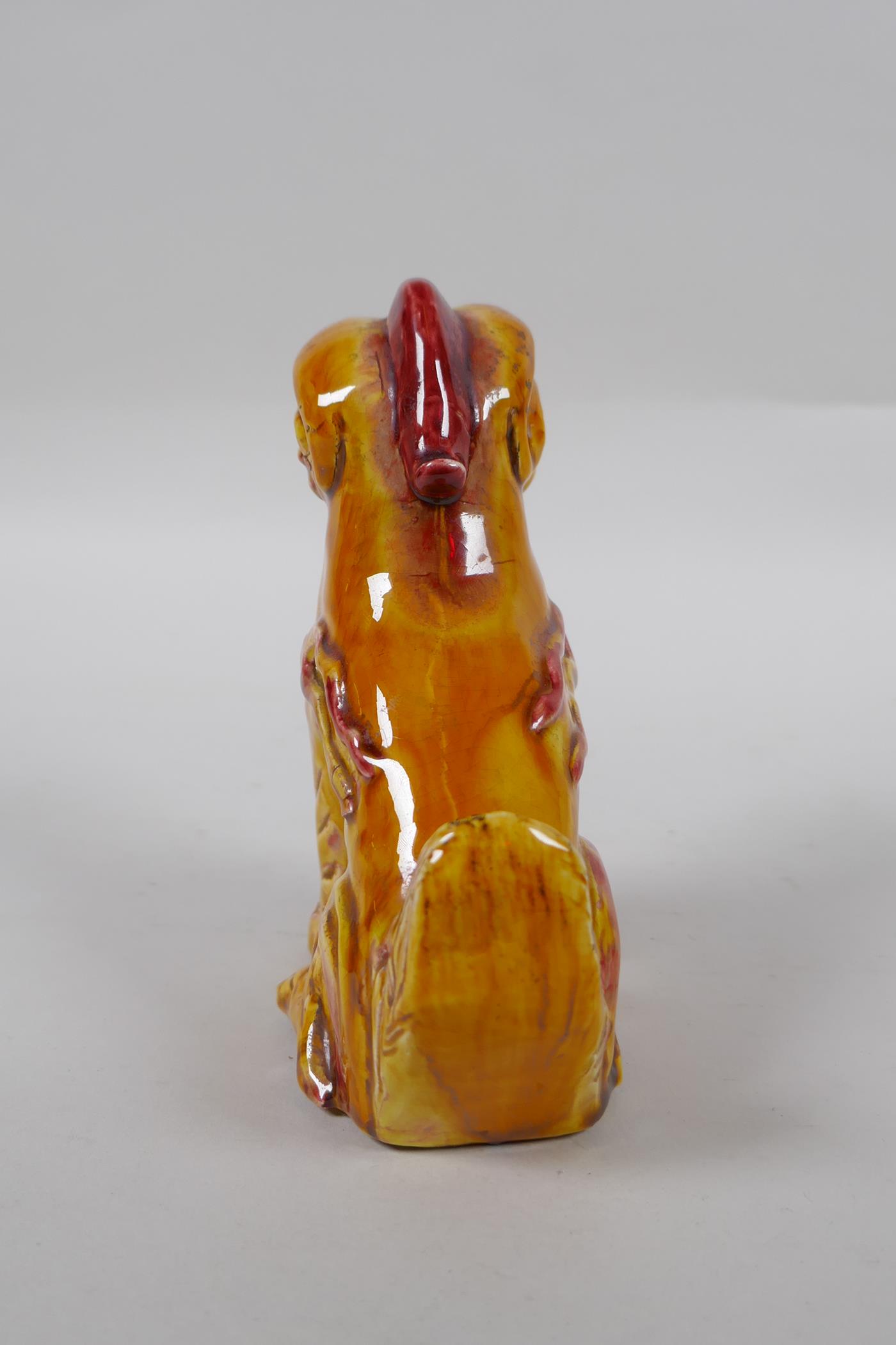 A Chinese amber glazed porcelain fo dog, 13cm high - Image 4 of 5