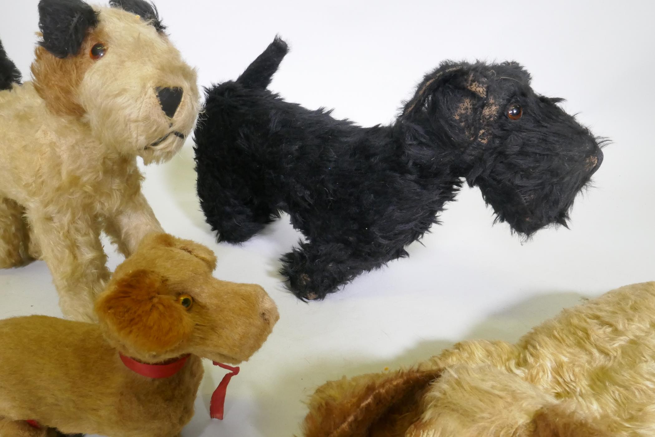 Antique stuffed toys, Angus terrier, terrier, possibly Chad Valley, push dog with rubber head and - Image 5 of 5