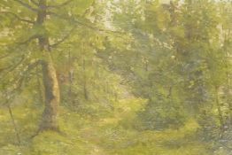 Jean de Haen, wooded landscape, signed, late C19th, oil on canvas, 30 x 43cm