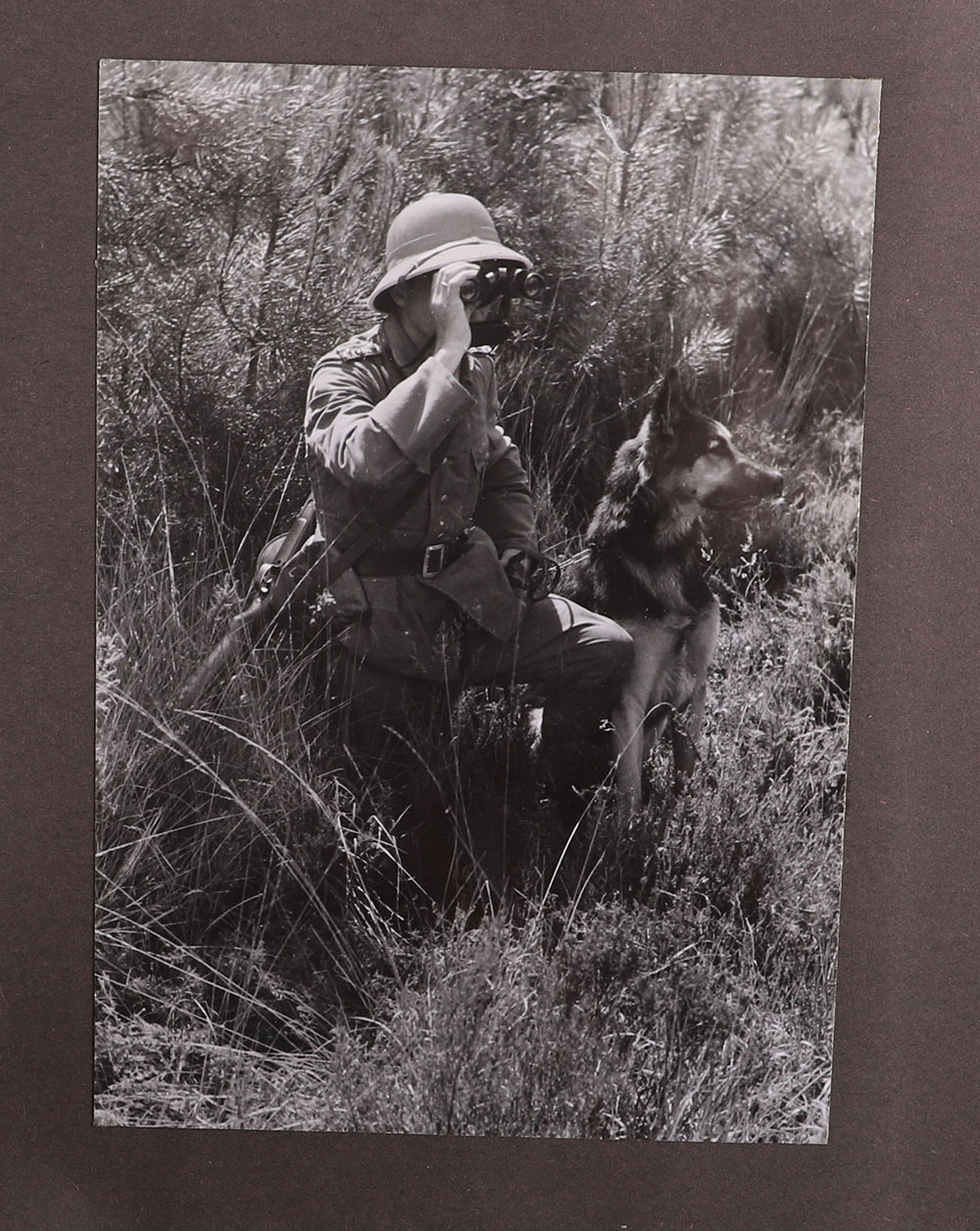 Large Format Original Photographs of the Waffen-SS and German Army from Official War Photographer - Image 4 of 17