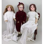 Three A.M mould 390 bisque head girl dolls, German circa 1910,