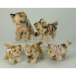Five post-war Steiff mohair toy cats,