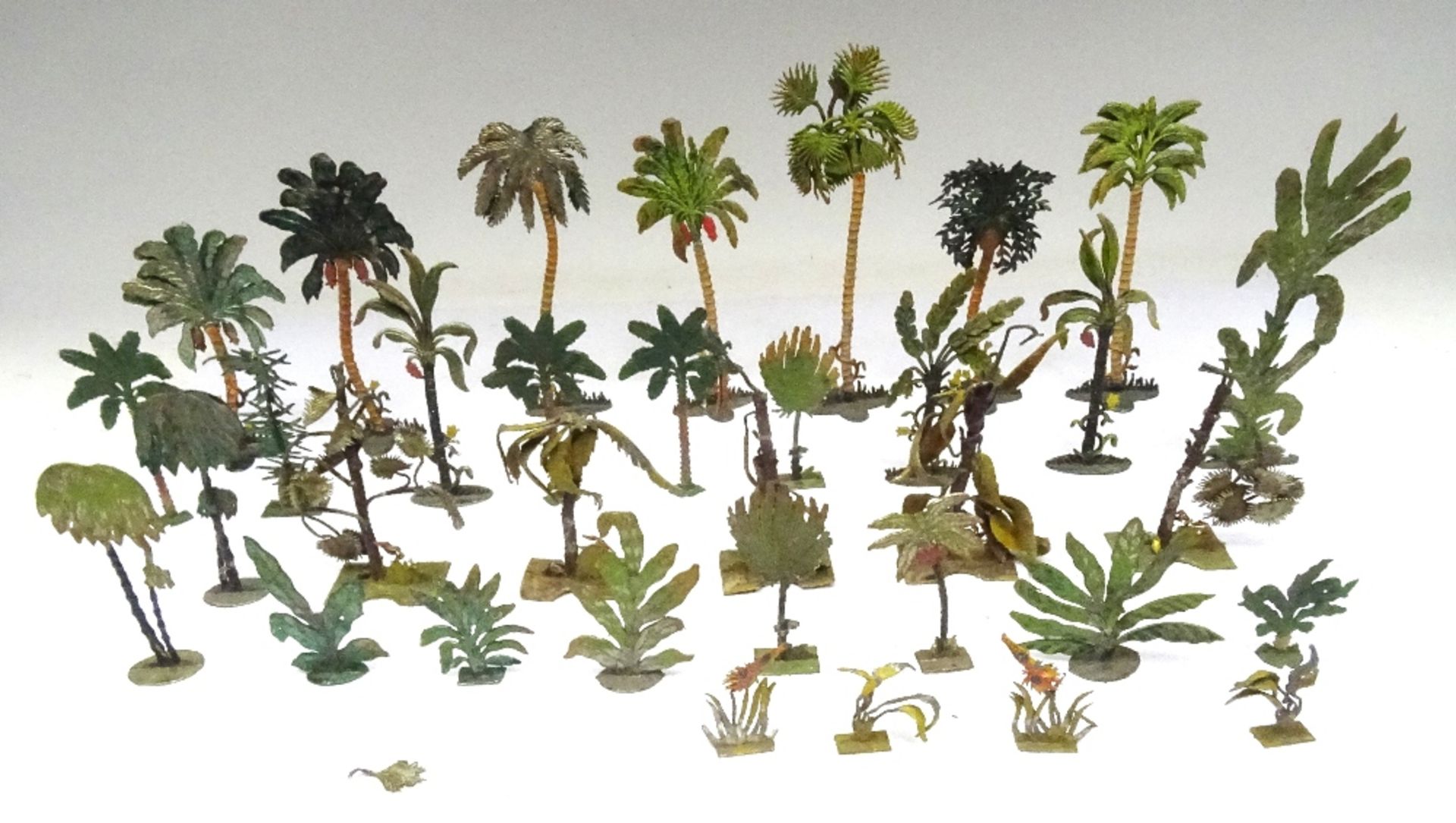 Heyde and other Tropical Palms and other Flora - Image 3 of 3