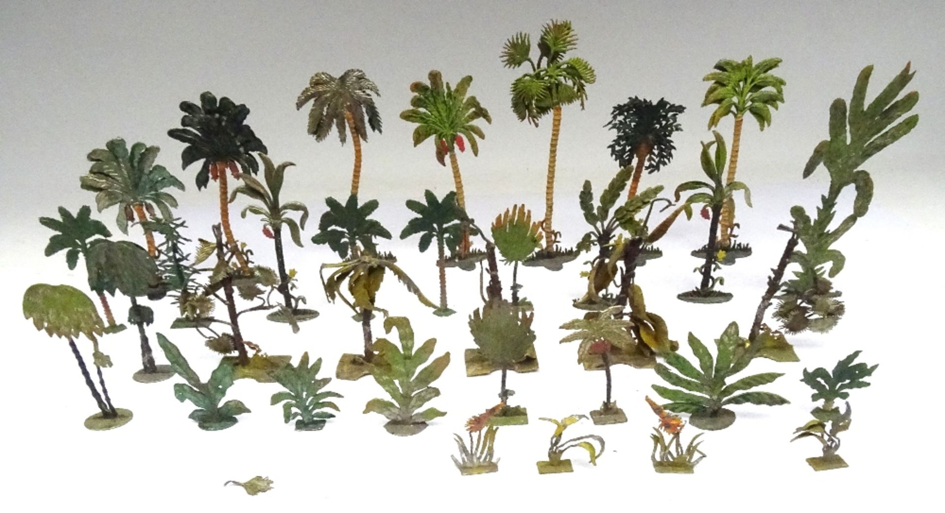 Heyde and other Tropical Palms and other Flora