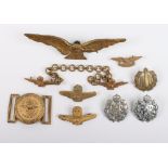Royal Air Force Badges and Insignia