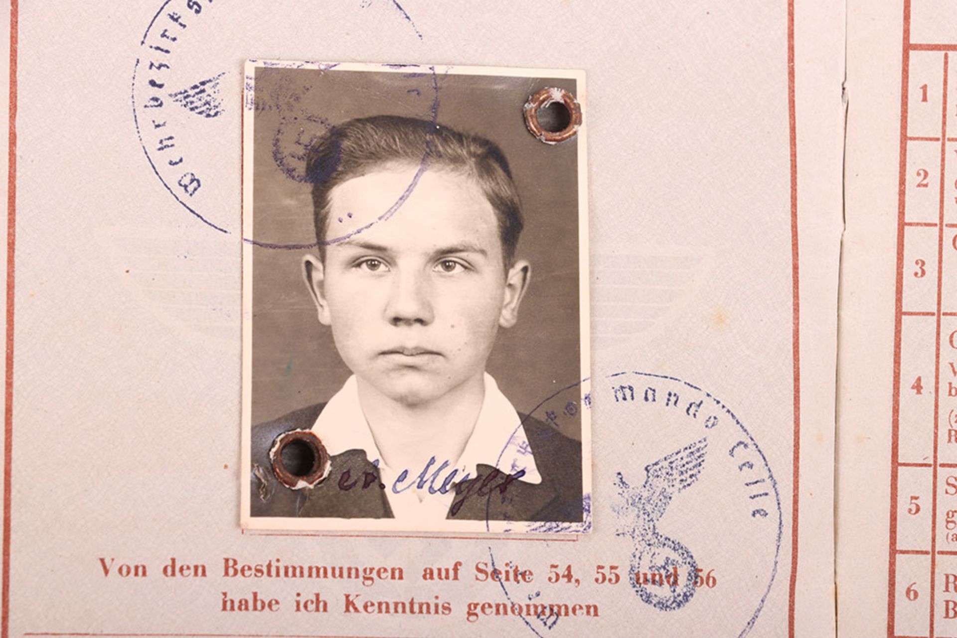 WW2 German Armed Forces Wehrpass Issued in April 1945 - Image 10 of 37
