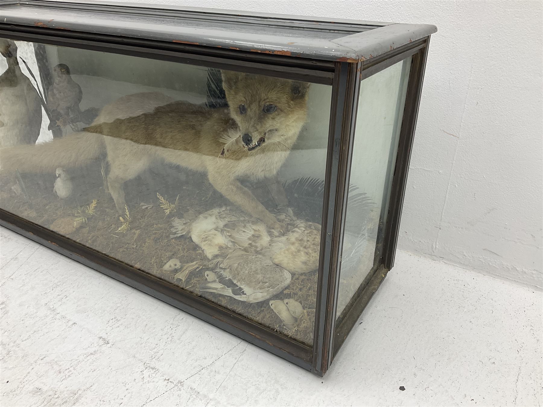 Taxidermy: 19th century cased display Red Fox (Vulpes vulpes) with pray - Image 5 of 15