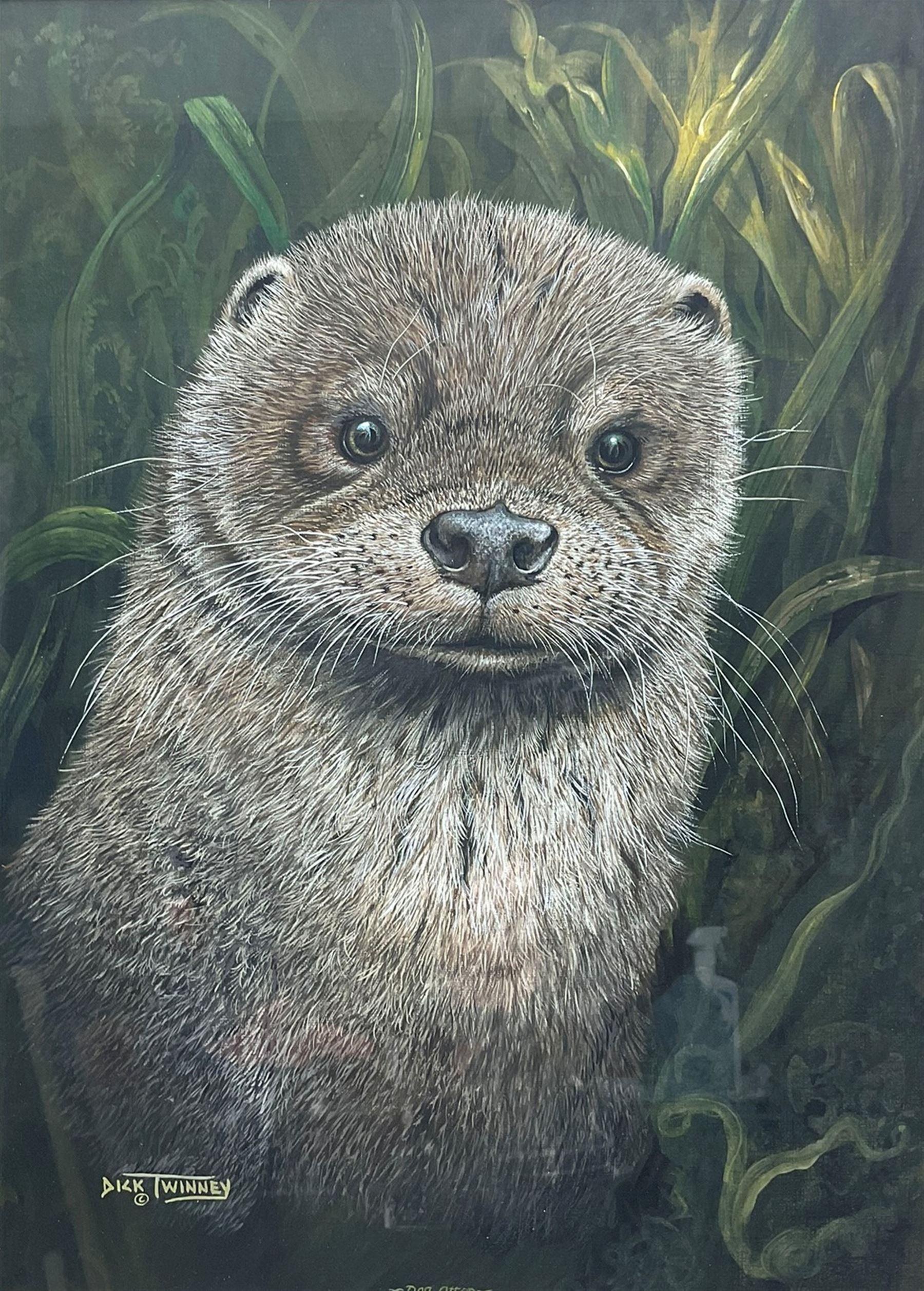 Dick Twinney (British 1943-): Otter Pup in Reeds