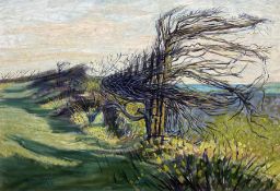 Deryck Stephen Crowther (Northern British 1922-2007): Windswept Trees
