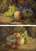 HA Carman (British fl.1867-1873): Still Life of Fruit and Birds' Nests