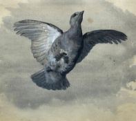 Archibald Thorburn (British 1860-1935): Grey Partridge in Flight