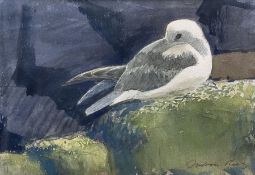 Darren Rees (British 1961-): Seagull