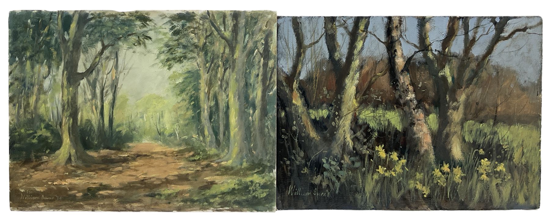 William Burns (British 1923-2010): 'Daffodils in Spring' and 'A Path in the Woods' - Image 2 of 3