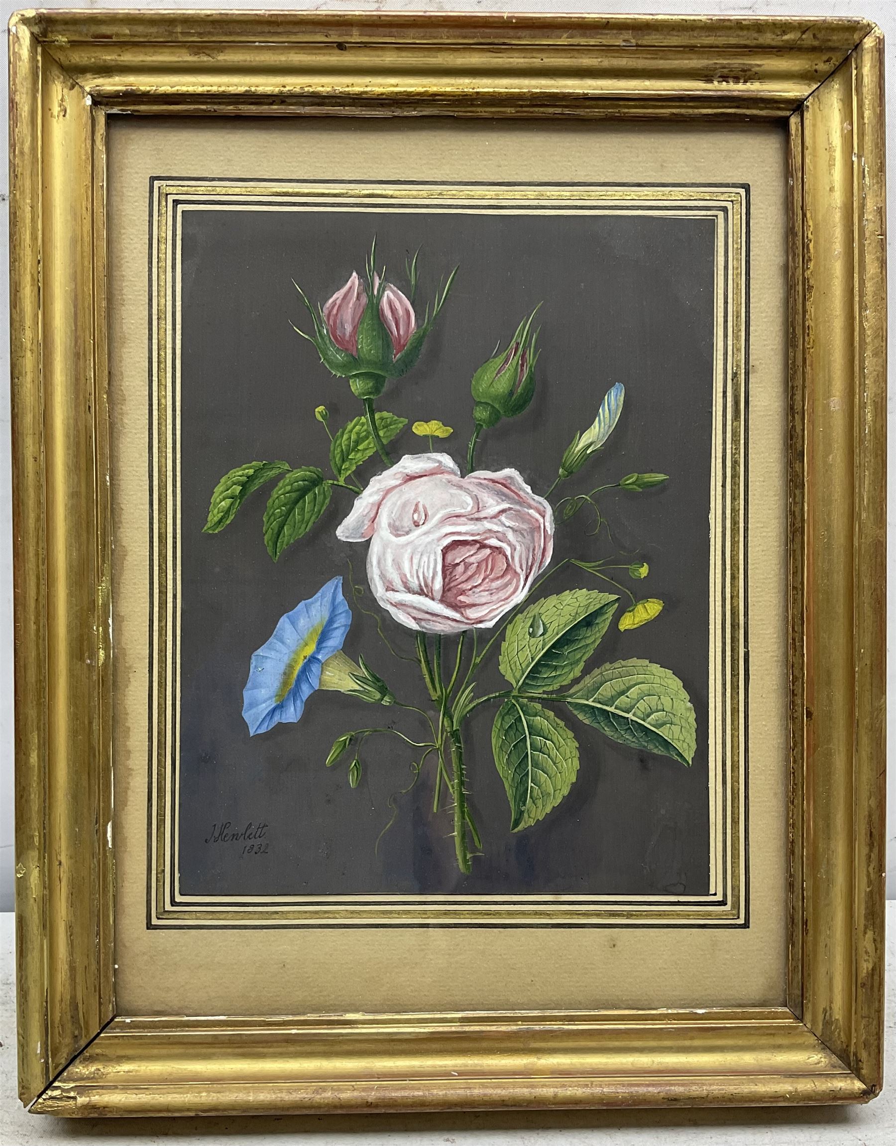 James Hewlett (British 1768-1836): Still life of Roses and Convolvulus - Image 2 of 4