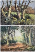 William Burns (British 1923-2010): 'Daffodils in Spring' and 'A Path in the Woods'