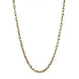 Gold rolo link chain necklace