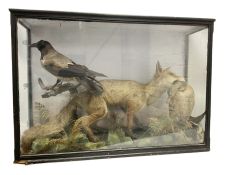 Taxidermy; 19th century cased display Red Fox (Vulpes vulpes) with pray