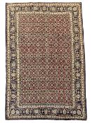 Persian red ground rug