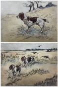 Henry Wilkinson (British 1921-2011): Spaniels