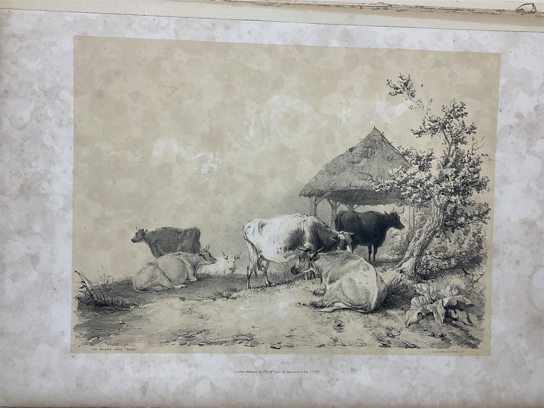 Thomas Sidney Cooper (British 1803-1902): 'Cooper's Designs for Cattle Pictures - Image 5 of 13