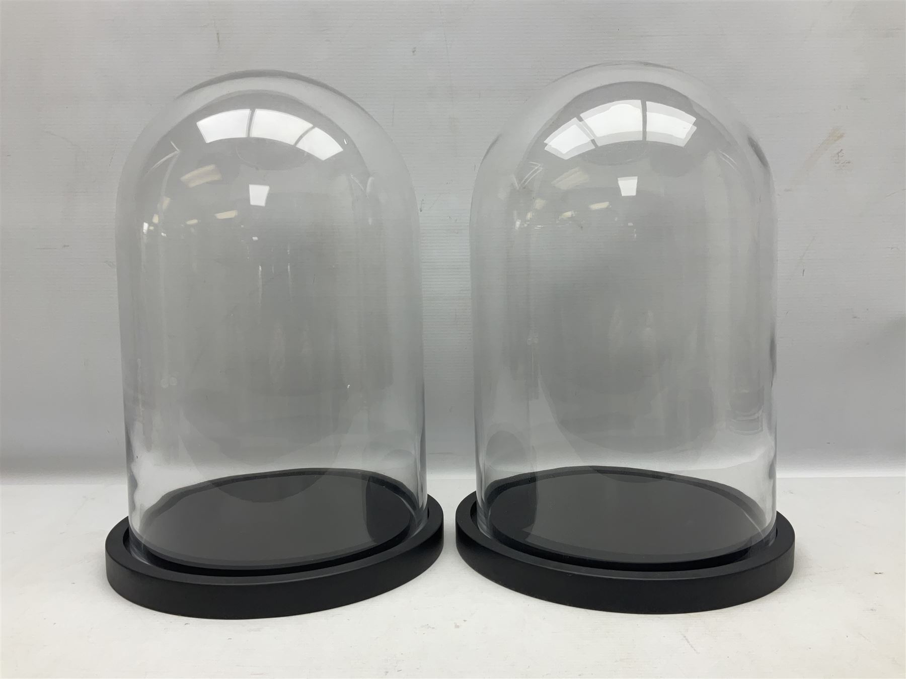 Pair of glass domes upon circular bases - Image 7 of 7
