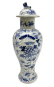 Chinese blue and white vase