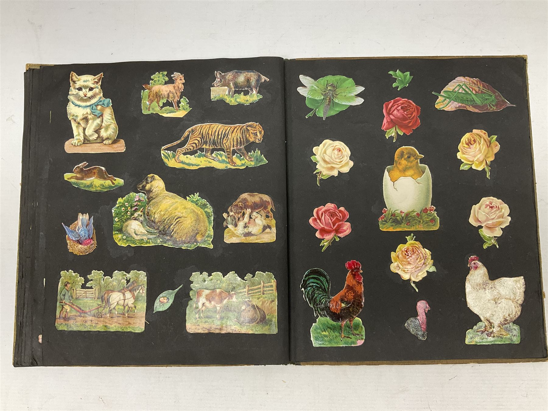 Victorian scrapbook containing twenty-six double sided pages and two fixed end pages of various fixe - Image 6 of 10